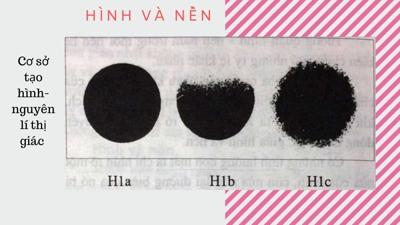 CƠ SỞ TẠO HÌNH, NGUYÊN LÝ THỊ GIÁC 10 Cơ sở tạo hình- Nguyên lí thị giác