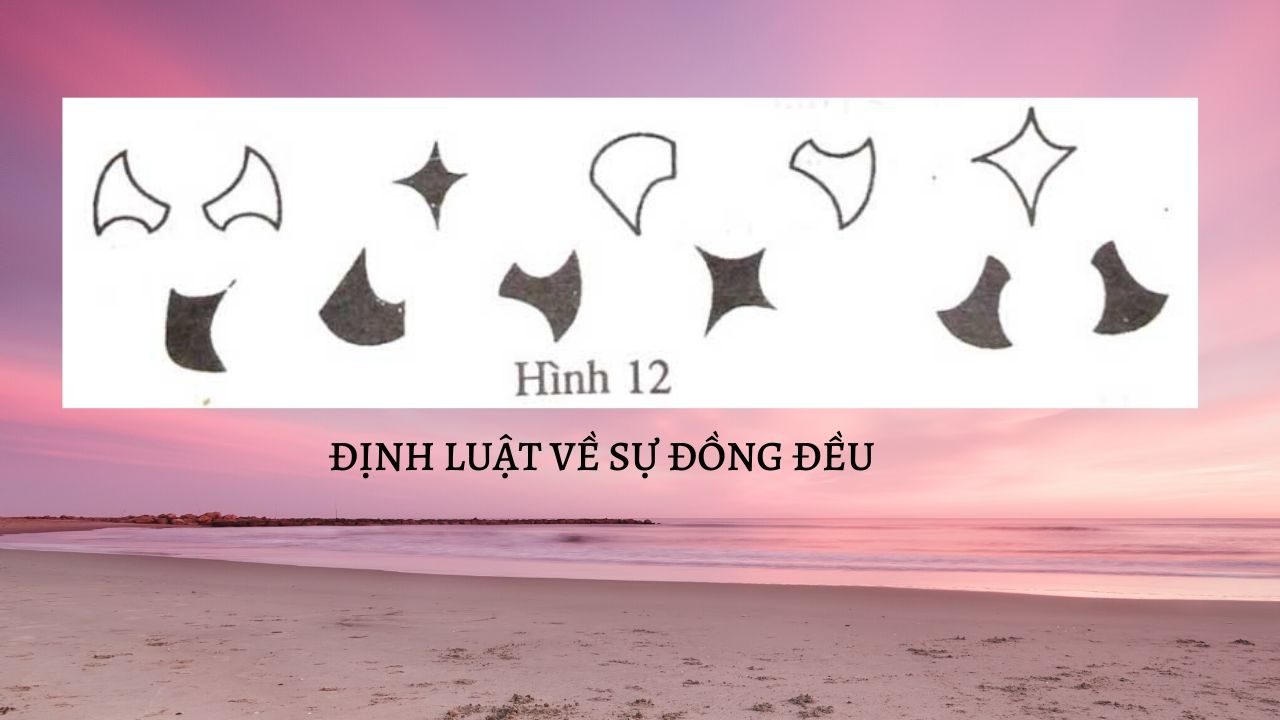 CƠ SỞ TẠO HÌNH, NGUYÊN LÝ THỊ GIÁC 15 định luật về sự đồng đều