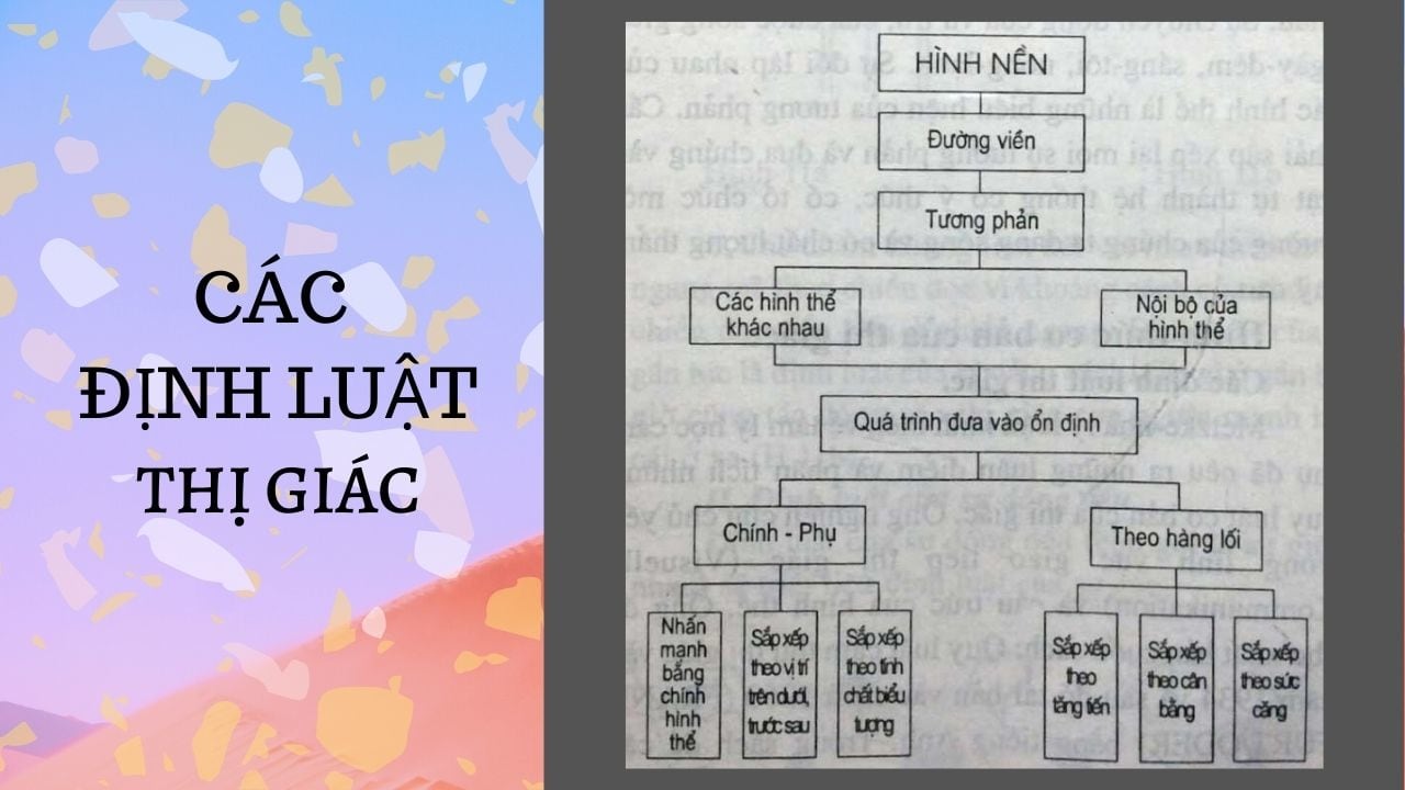 CƠ SỞ TẠO HÌNH, NGUYÊN LÝ THỊ GIÁC 13 các định luật thị giác