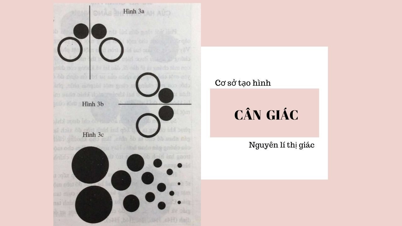 CƠ SỞ TẠO HÌNH, NGUYÊN LÝ THỊ GIÁC 11 cân giác