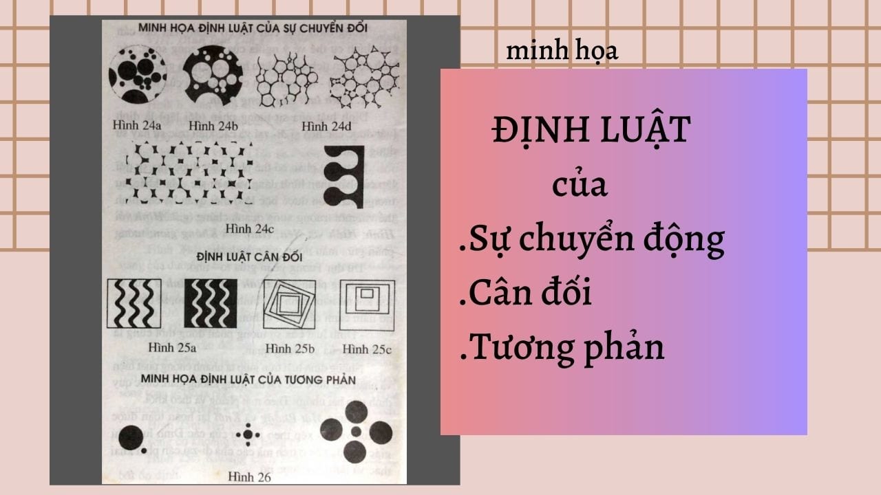 CƠ SỞ TẠO HÌNH, NGUYÊN LÝ THỊ GIÁC 17 minh họa các định luật